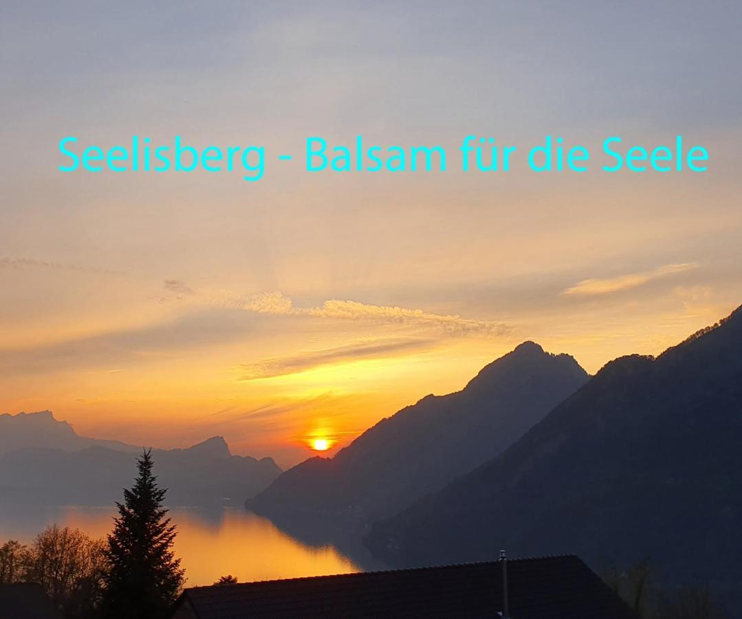 Appartement Seelewaermerli - Balsam Fuer Ihre Seele 塞利斯贝格 外观 照片